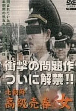 北朝鮮高級売春女