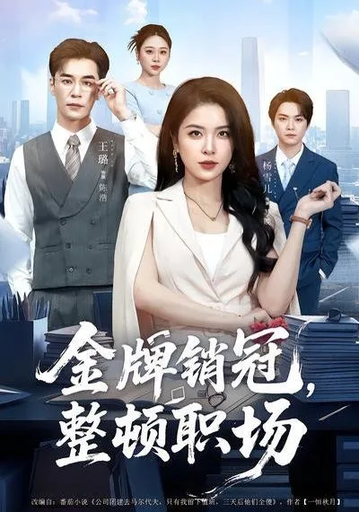 金牌销冠，整顿职场